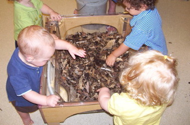 Mixing the Ingredients for Planting in the Sensory Table