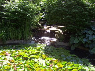 A View of the Botanical Gardens in Our Neighborhood